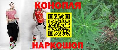 соль ск Партизанск