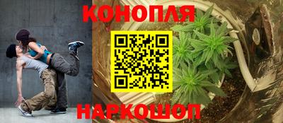 соль ск Партизанск